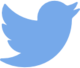 logo-twitter